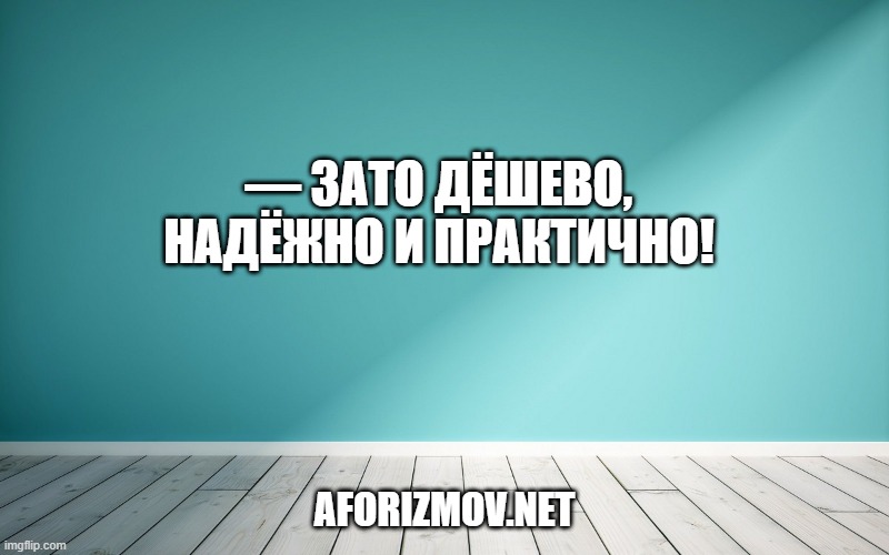 — Зато дёшево, надёжно и практично!