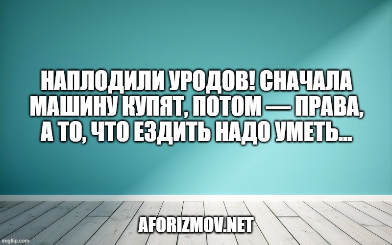 Наплодили уродов! Сначала машину купят, потом — права, а то, что ездить надо уметь…
