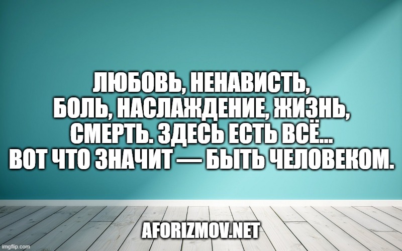 Любовь, ненависть, боль, наслаждение, жизнь, смерть. Здесь есть всё... Вот что значит — быть человеком.