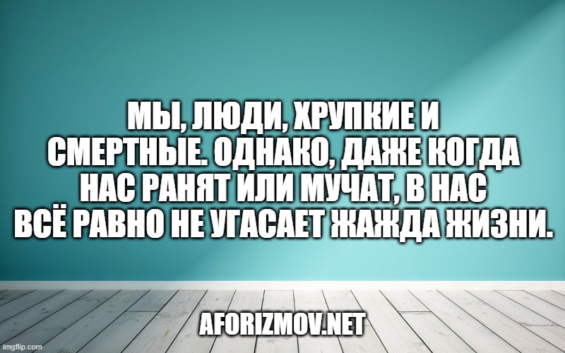 Мы, люди, хрупкие и смертные. Однако, даже когда нас ранят или мучат, в нас всё равно не угасает жажда жиз
