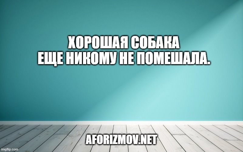 Хорошая собака еще никому не помешала.