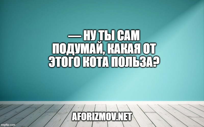 — Ну ты сам подумай, какая от этого кота польза?