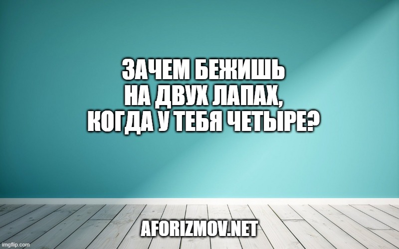 Зачем бежишь на двух лапах, когда у тебя четыре?