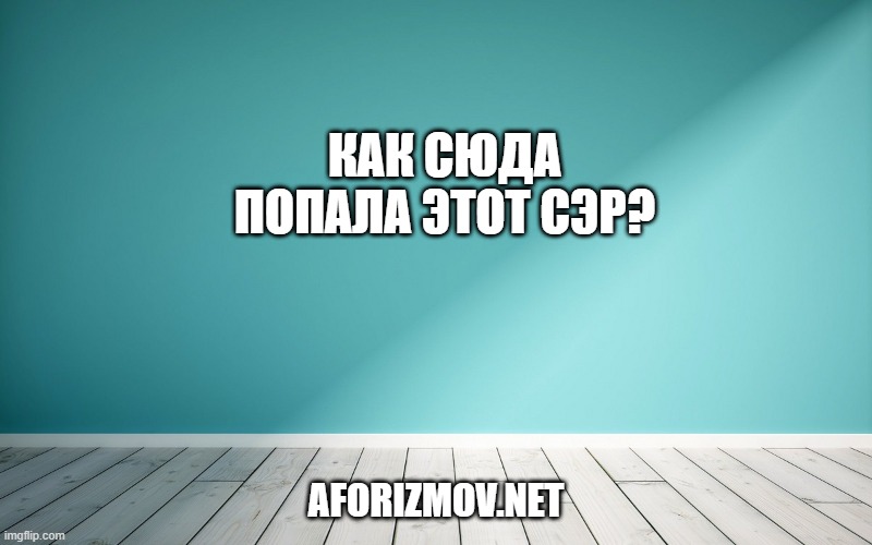 Как сюда попала этот сэр?