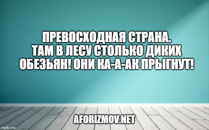 Превосходная страна. Там в лесу столько диких обезьян! Они ка-а-ак прыгнут!