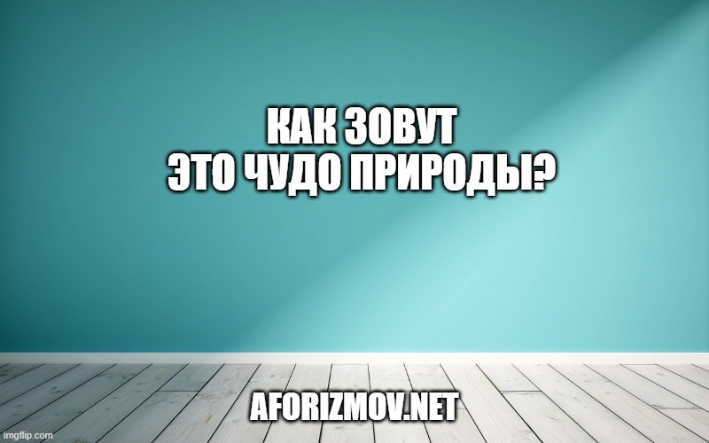 Как зовут это чудо природы?