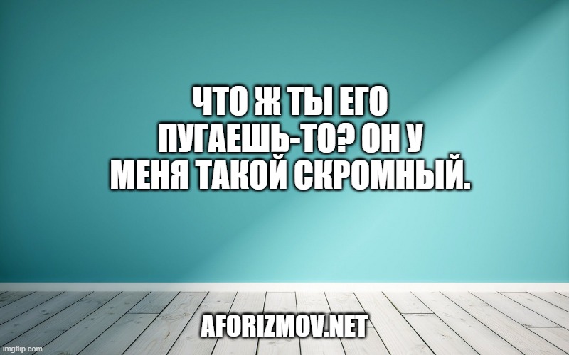 Что ж ты его пугаешь-то? Он у меня такой скромный.
