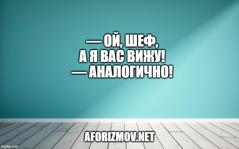 — Ой, шеф, а я вас вижу! — Аналогично!