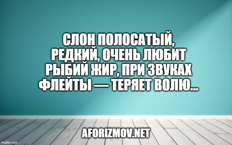 Слон полосатый, редкий, очень любит рыбий жир, при звуках флейты — теряет волю…