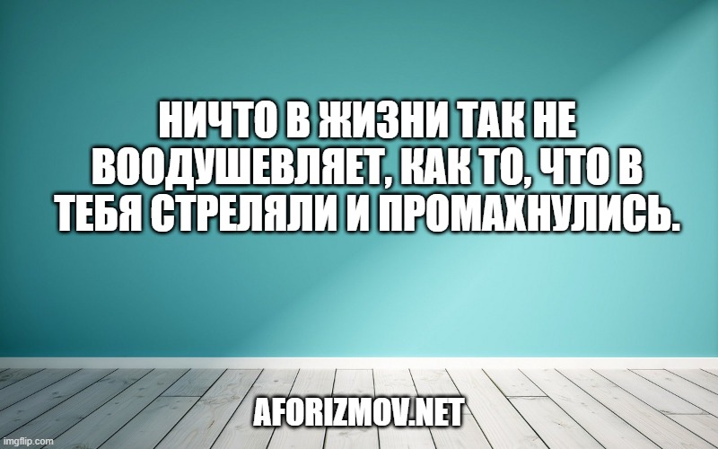 Ничто в жизни так не воодушевляет, как то, что в тебя стреляли и промахнулись.