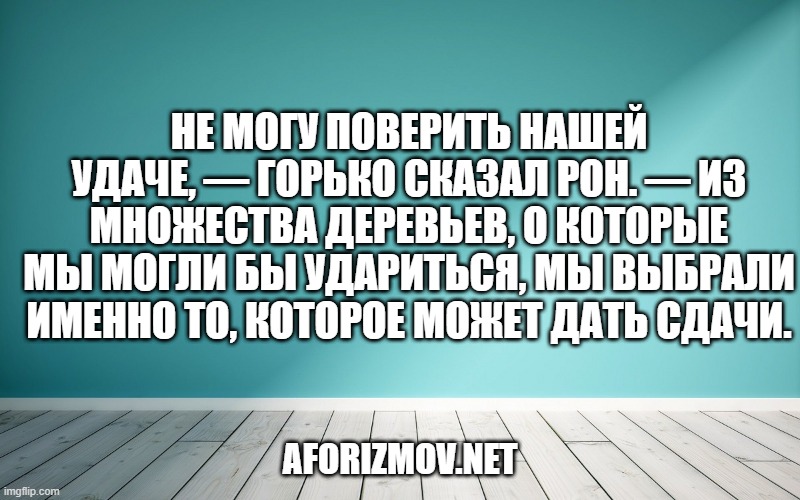 Не могу поверить нашей удаче, — горько сказал Рон. — Из множества деревьев, о которые мы могли бы удариться, мы выбрали именно то, которое может дать сдачи.