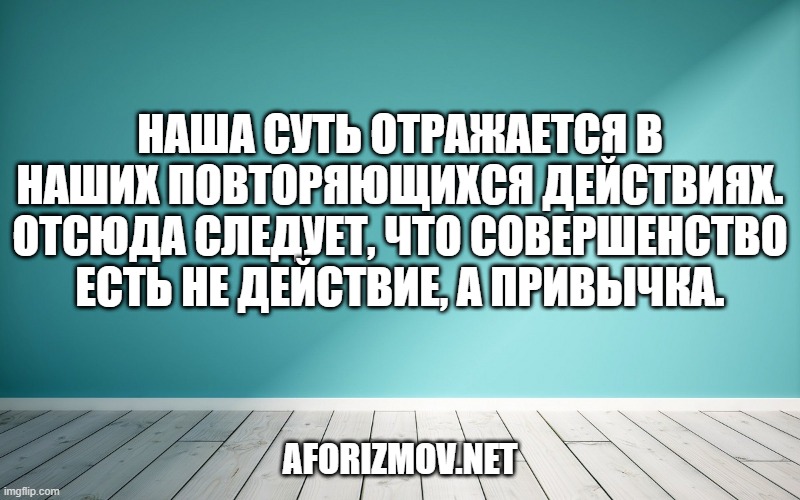 Наша суть отражается в наших повторяющихся действиях. Отсюда следует, что совершенство есть не действие, а привычка.