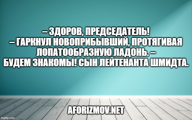 – Здоров, председатель! – гаркнул новоприбывший, протягивая лопатообразную ладонь. – Будем знакомы! Сын лейтенанта Шмидта.