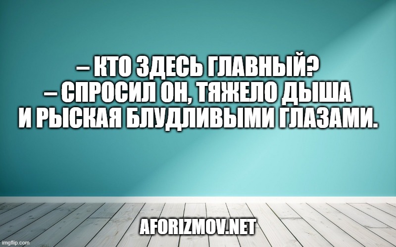 – Кто здесь главный? – спросил он, тяжело дыша и рыская блудливыми глазами.