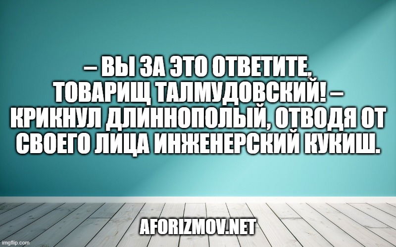 – Вы за это ответите, товарищ Талмудовский! – крикнул длиннополый, отводя от своего лица инженерский кукиш.