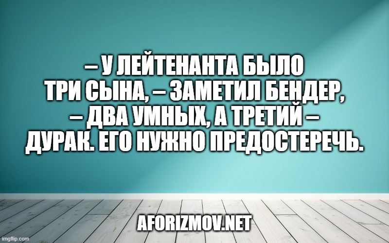– У лейтенанта было три сына, – заметил Бендер, – два умных, а третий – дурак. Его нужно предостеречь.