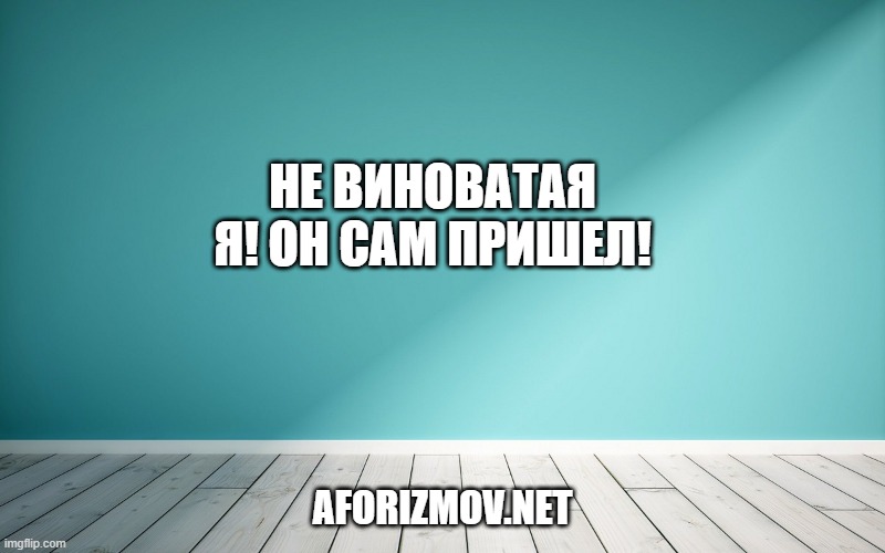 Не виноватая я! Он сам пришел!