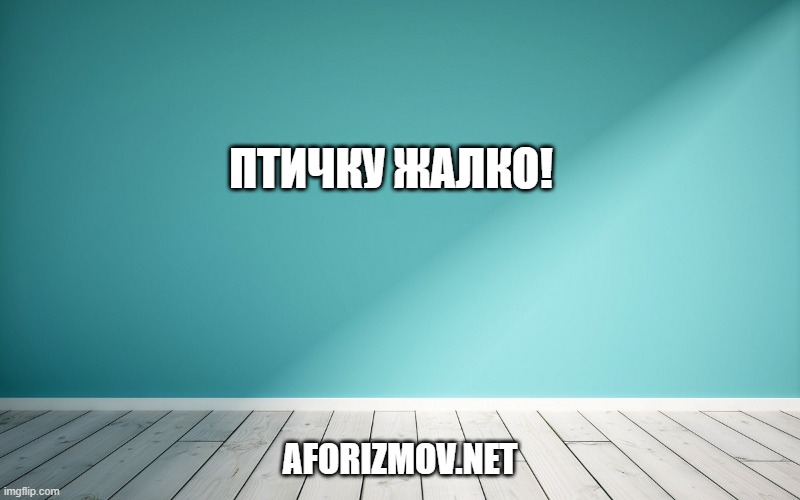 Птичку жалко!