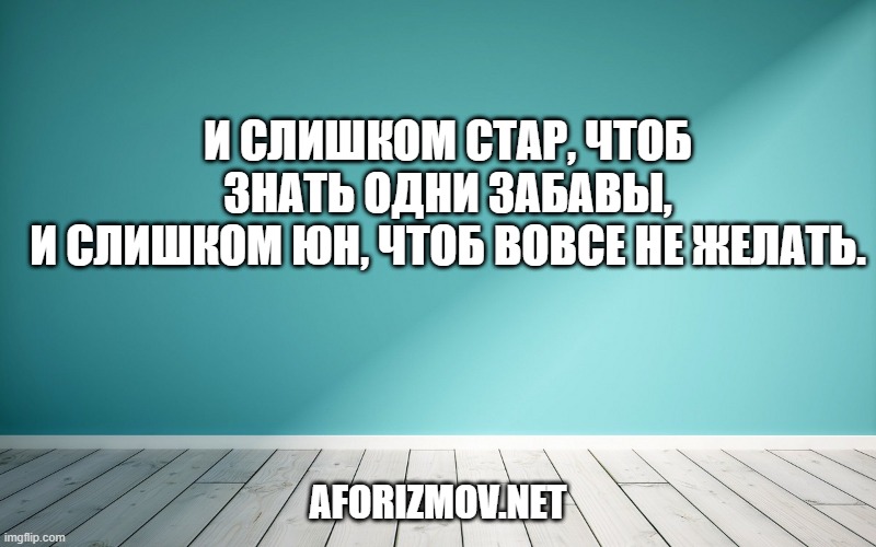 И слишком стар, чтоб знать одни забавы,
И слишком юн, чтоб вовсе не желать.