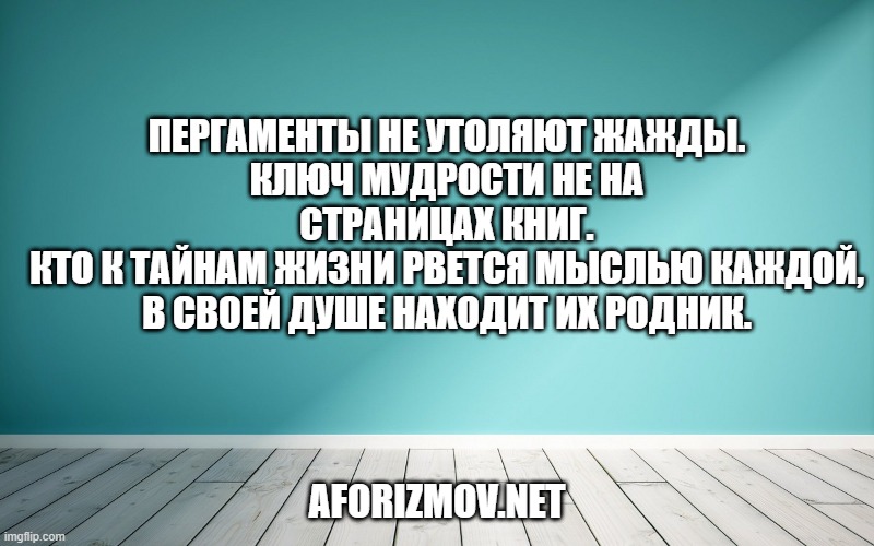 Пергаменты не утоляют жажды.
Ключ мудрости не на страницах книг.
Кто к тайнам жизни рвется мыслью каждой,
В своей душе находит их родник.