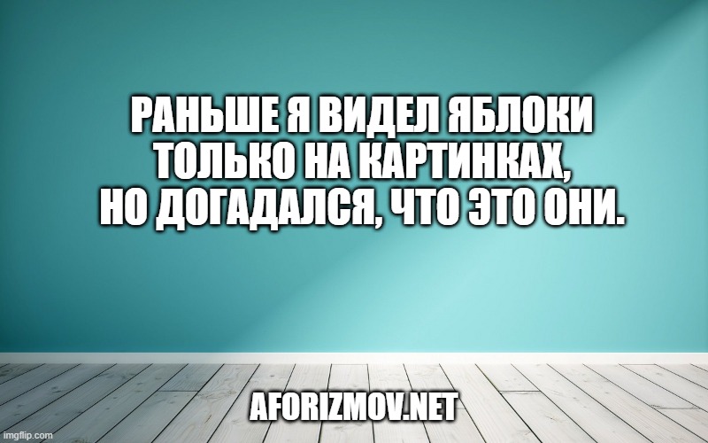 Раньше я видел яблоки только на картинках, но догадался, что это они.