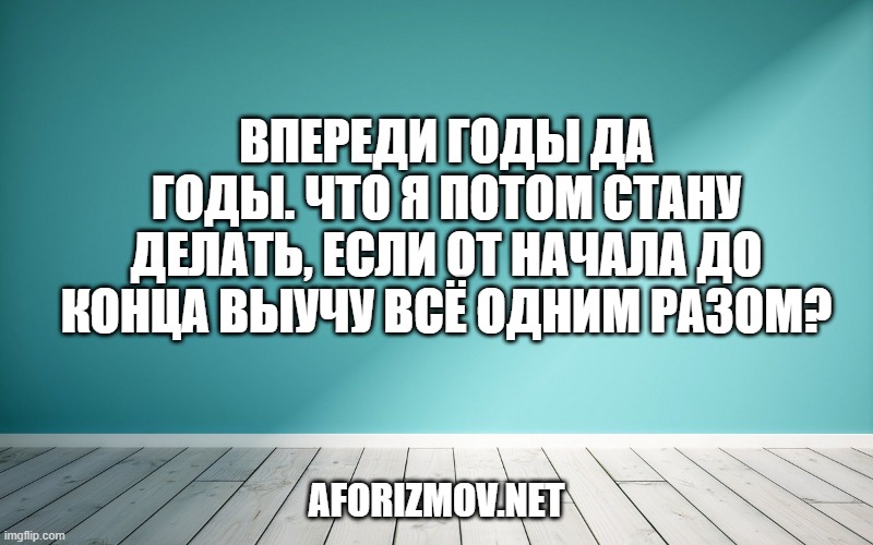 Впереди годы да годы. Что я потом стану делать, если от начала до конца выучу всё одним разом?