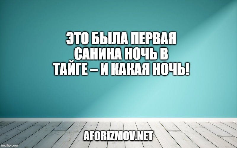 Это была первая Санина ночь в тайге – и какая ночь!