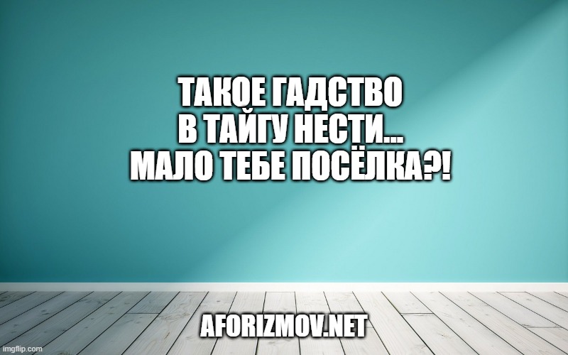 Такое гадство в тайгу нести… мало тебе посёлка?!
