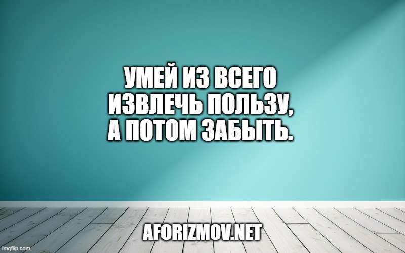 Умей из всего извлечь пользу, а потом забыть.