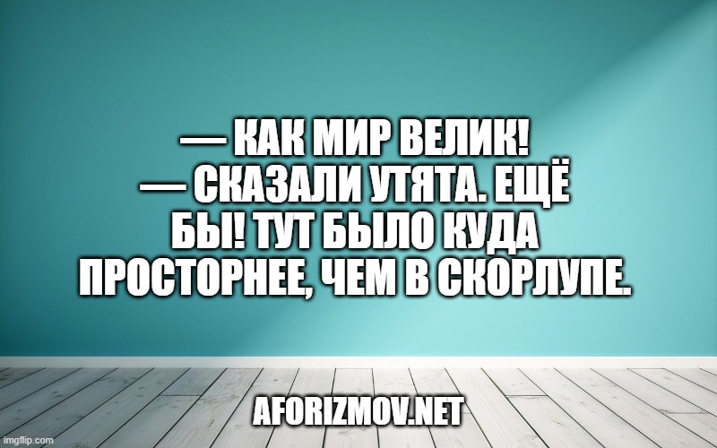 — Как мир велик! — сказали утята. Ещё бы! Тут было куда просторнее, чем в скорлупе.