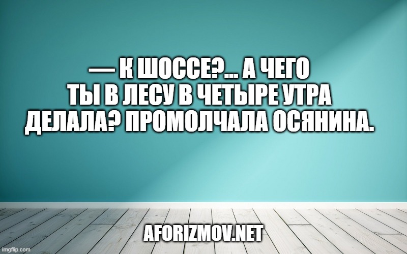 — К шоссе?… А чего ты в лесу в четыре утра делала? Промолчала Осянина.