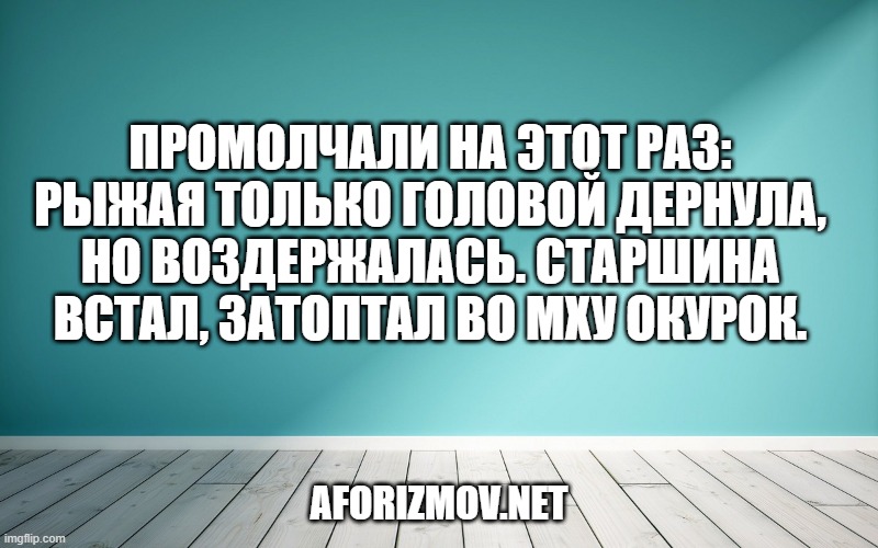 Промолчали на этот раз: рыжая только головой дернула, но воздержалась. Старшина встал, затоптал во мху окурок.