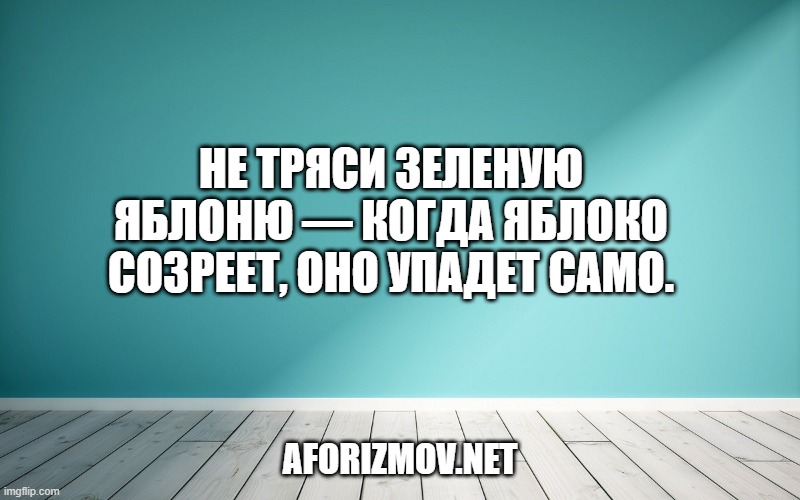 Не тряси зеленую яблоню — когда яблоко созреет, оно упадет само.