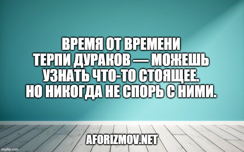 Время от времени терпи дураков — можешь узнать что-то стоящее. Но никогда не спорь с ними.