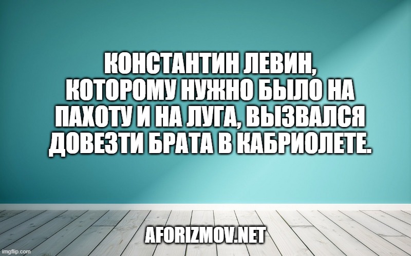 Константин Левин, которому нужно было на пахоту и на луга, вызвался Довезти брата в кабриолете.