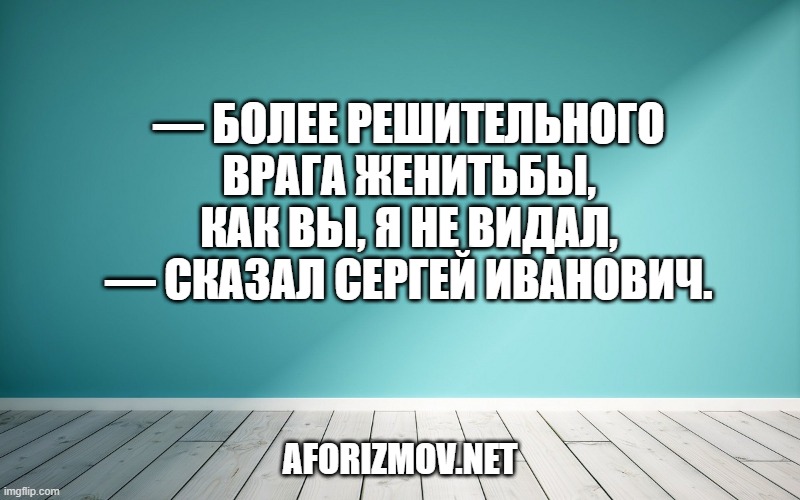 — Более решительного врага женитьбы, как вы, я не видал, — сказал Сергей Иванович.