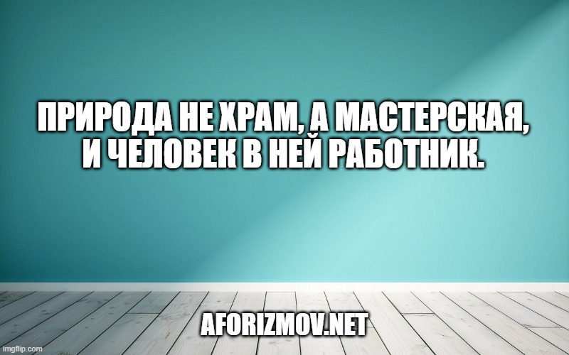 Природа не храм, а мастерская, и человек в ней работник.