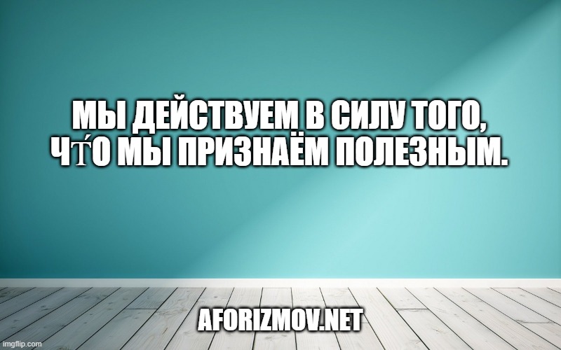 Мы действуем в силу того, чт́о мы признаём полезным.