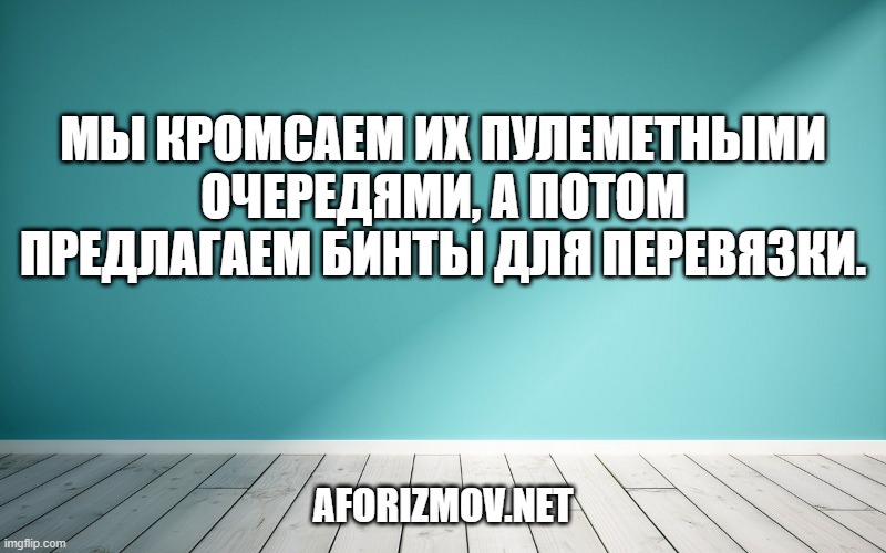 Мы кромсаем их пулеметными очередями, а потом предлагаем бинты для перевязки.