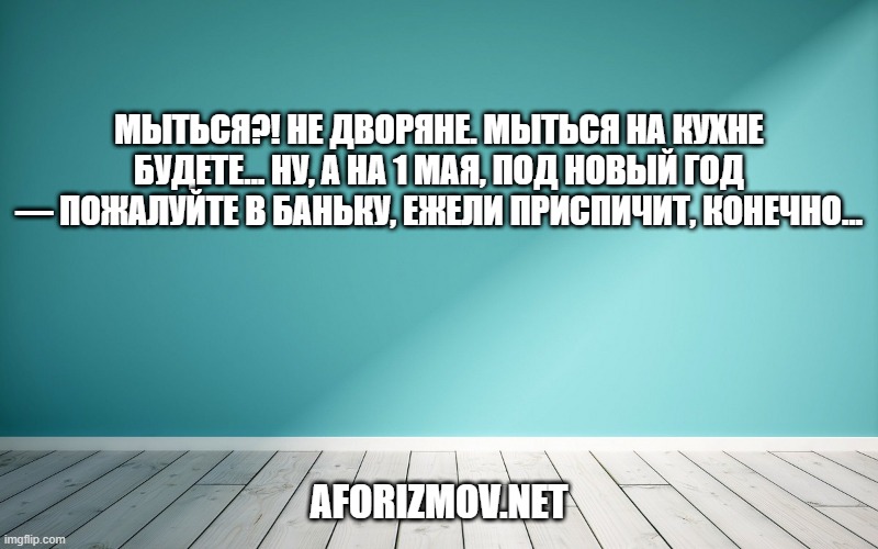 Мыться?! Не дворяне. Мыться на кухне будете… Ну, а на 1 Мая, под Новый Год — пожалуйте в баньку, ежели приспичит, конечно…