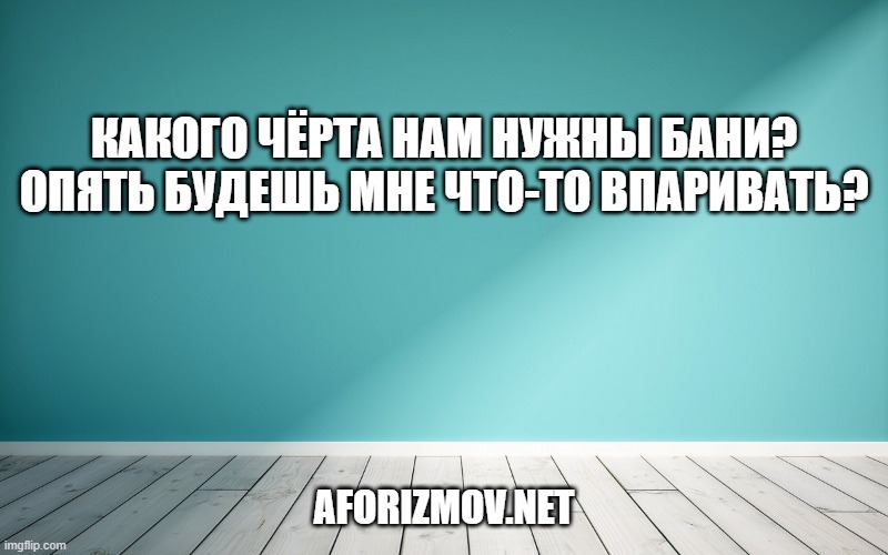 Какого чёрта нам нужны бани? Опять будешь мне что-то впаривать?
