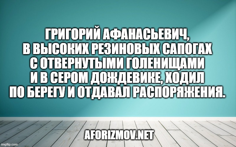 Григорий Афанасьевич, в высоких резиновых сапогах с отвернутыми голенищами и в сером дождевике, ходил по берегу и отдавал распоряжения.