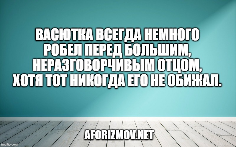 Васютка всегда немного робел перед большим, неразговорчивым отцом, хотя тот никогда его не обижал.