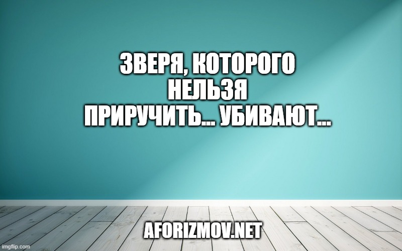 Зверя, которого нельзя приручить… убивают…