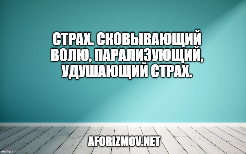 Страх. Сковывающий волю, парализующий, удушающий страх.