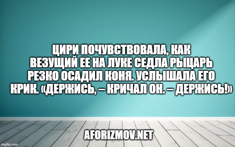 Цири почувствовала, как везущий ее на луке седла рыцарь резко осадил коня. Услышала его крик. «Держись, – кричал он. – Держись!»