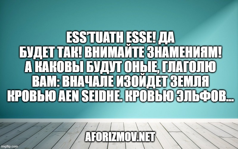 Ess’tuath esse! Да будет так! Внимайте знамениям! А каковы будут оные, глаголю вам: вначале изойдет земля кровью Aen Seidhe. Кровью Эльфов…