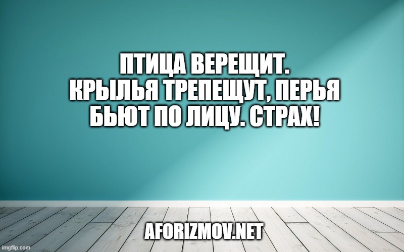 Птица верещит. Крылья трепещут, перья бьют по лицу. Страх!
