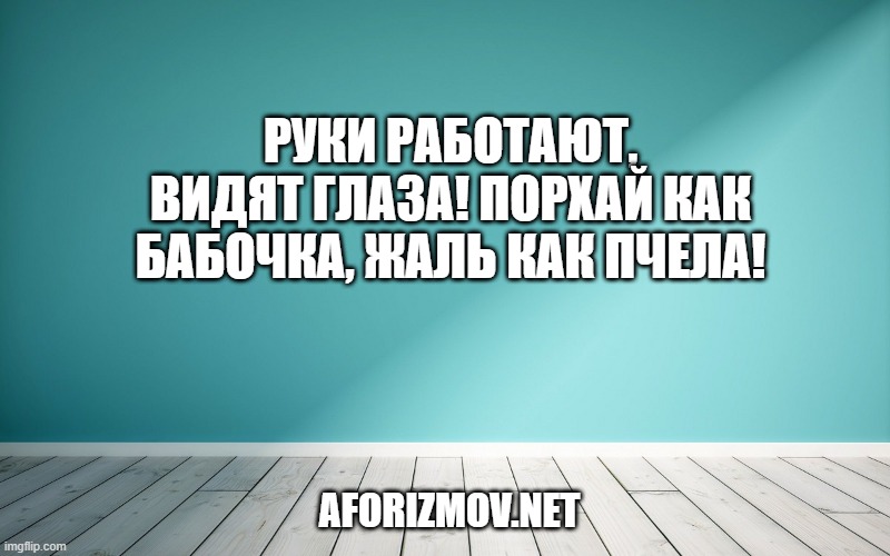 Руки работают, видят глаза! Порхай как бабочка, жаль как пчела!