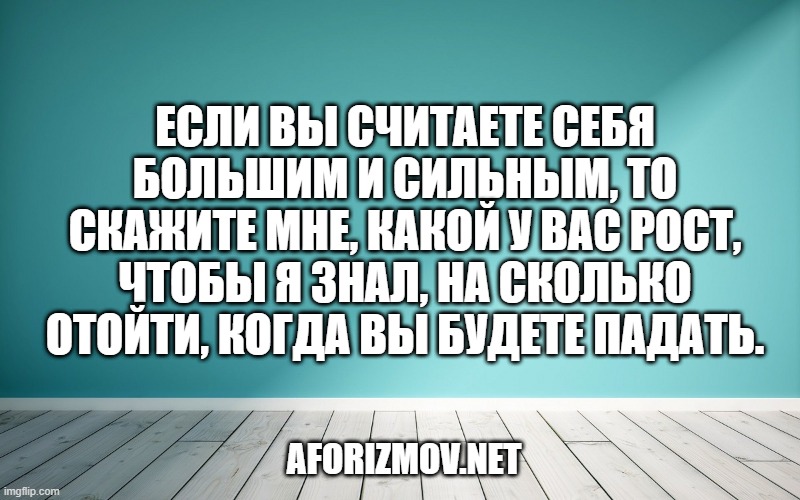 Если вы считаете себя большим и сильным, то скажите мне, какой у вас рост, чтобы я знал, на сколько отойти, когда вы будете падать.